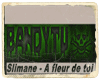 Slimane - A fleur de toi