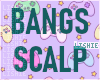 bangs & scalp blush
