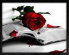 Rose and Bible
