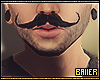 Monsieur Moustache 