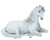~Unicorn~