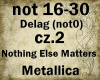 Nothing Else Matters cz2