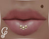 Lip Studz + Beauty *24K