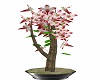 Steel Potted Bonzai 4