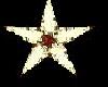 ~LWI~Christmas Star Red