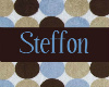 Custom Frame STEFFON