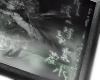 NOKAI