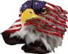 american eagle 4