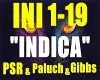 INDICA-PSR&Paluch&Gibbs.