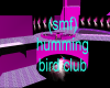 (smf)humming bird club
