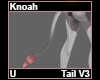 Knoah Tail V3