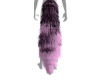 Pink  and Black tail