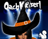 -OK- Halo Witch Hat