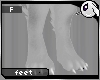 ~Dc) Snow Wolf Feet F