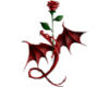 Red Rose and Dragon