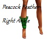 Peacock-Right Ankle