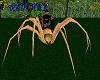 creepy  spider ride