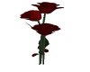 LS Animated Rose