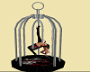 Bird Dance Cage hardcore
