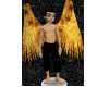 Flame Wings Animated