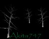 Akitas pagan trees 1