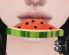 SH - Watermelon