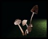 animated mushroom