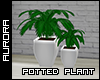 A| Potted Plant