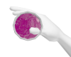 my purp
