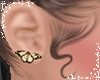 R>Tan-Butterfly Earring