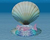 Mermaid Shell w/Poses