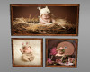 Three Baby Pictures Nest