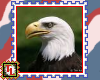 Bald Eagle stamp
