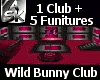 [ASK]Wild Bunny Club Bdl
