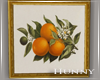 H. Vintage Oranges