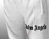 palm angels.