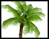 An Animated Coconut Tree