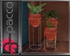 *P* plants set