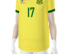 South African Jersey 17