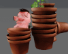 piggy + pots ♡
