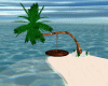 Beach Palm Poses Swing