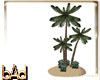 DRV Sand Dune Palm Tree