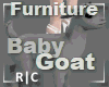 R|C Baby Goat Grey Furn