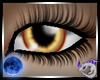 SD Eyes Tan