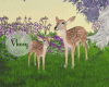 Deer Spring