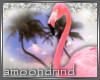 AM:: Flamingo Tropic Enh