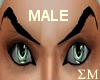 Male green eyes