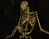 Fallen Skeleton