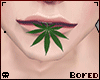 退屈 Mouth marijuana