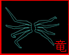 [竜]Neon Head Spider